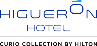 Logo Higueron hotel